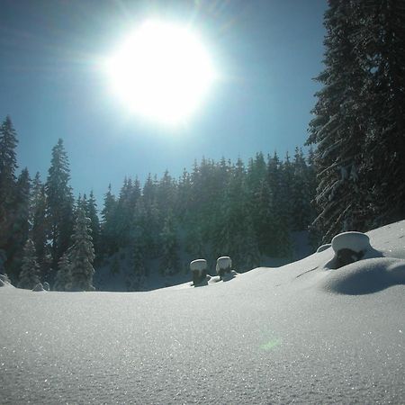 Ferienparadies Taxen Sankt Veit im Pongau Exteriér fotografie