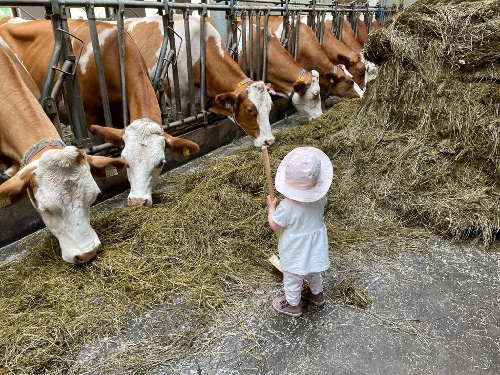 Ferienparadies Taxen Sankt Veit im Pongau Exteriér fotografie