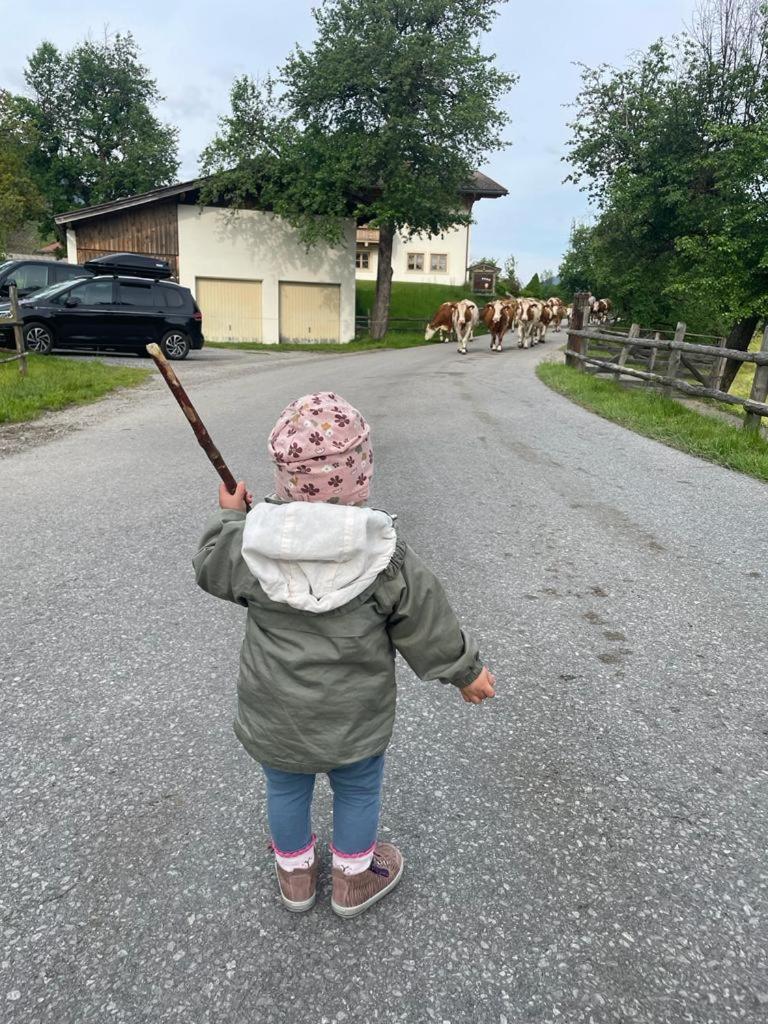 Ferienparadies Taxen Sankt Veit im Pongau Exteriér fotografie