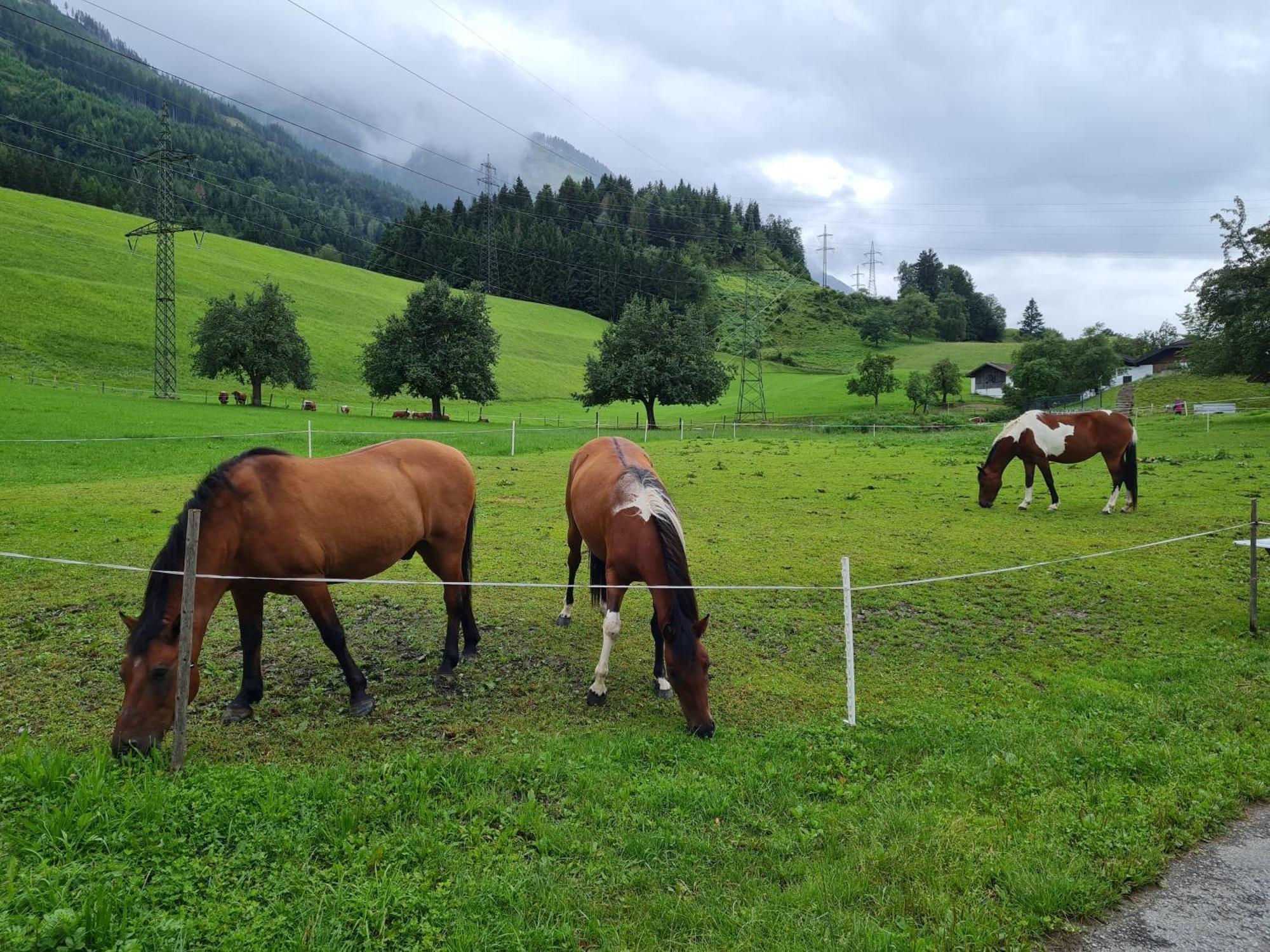 Ferienparadies Taxen Sankt Veit im Pongau Exteriér fotografie
