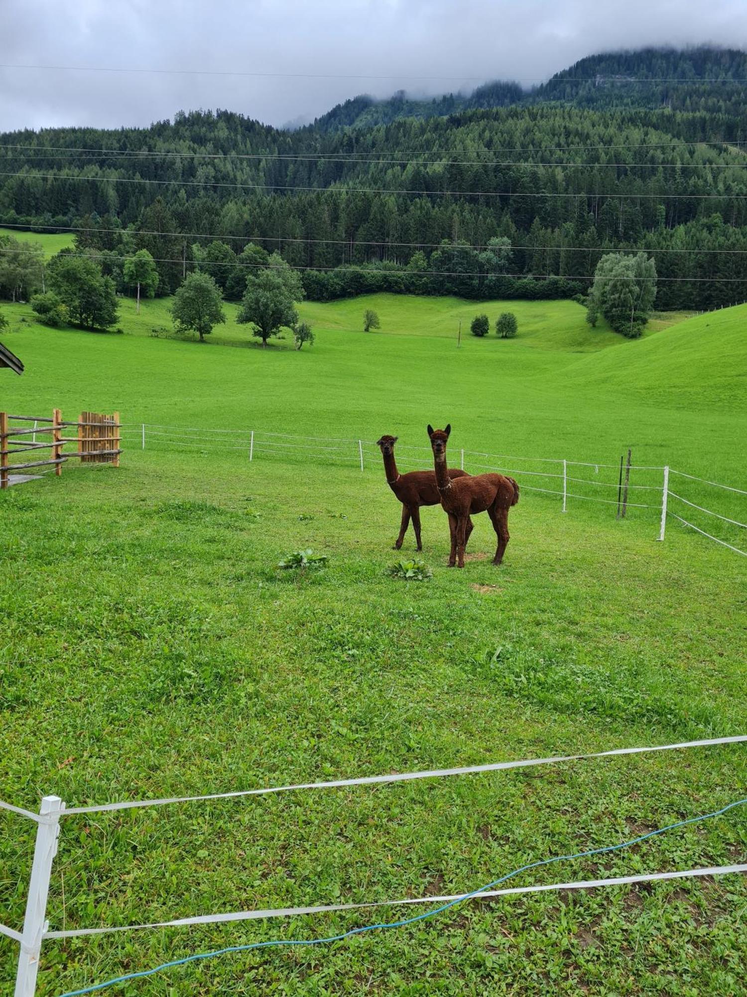 Ferienparadies Taxen Sankt Veit im Pongau Exteriér fotografie