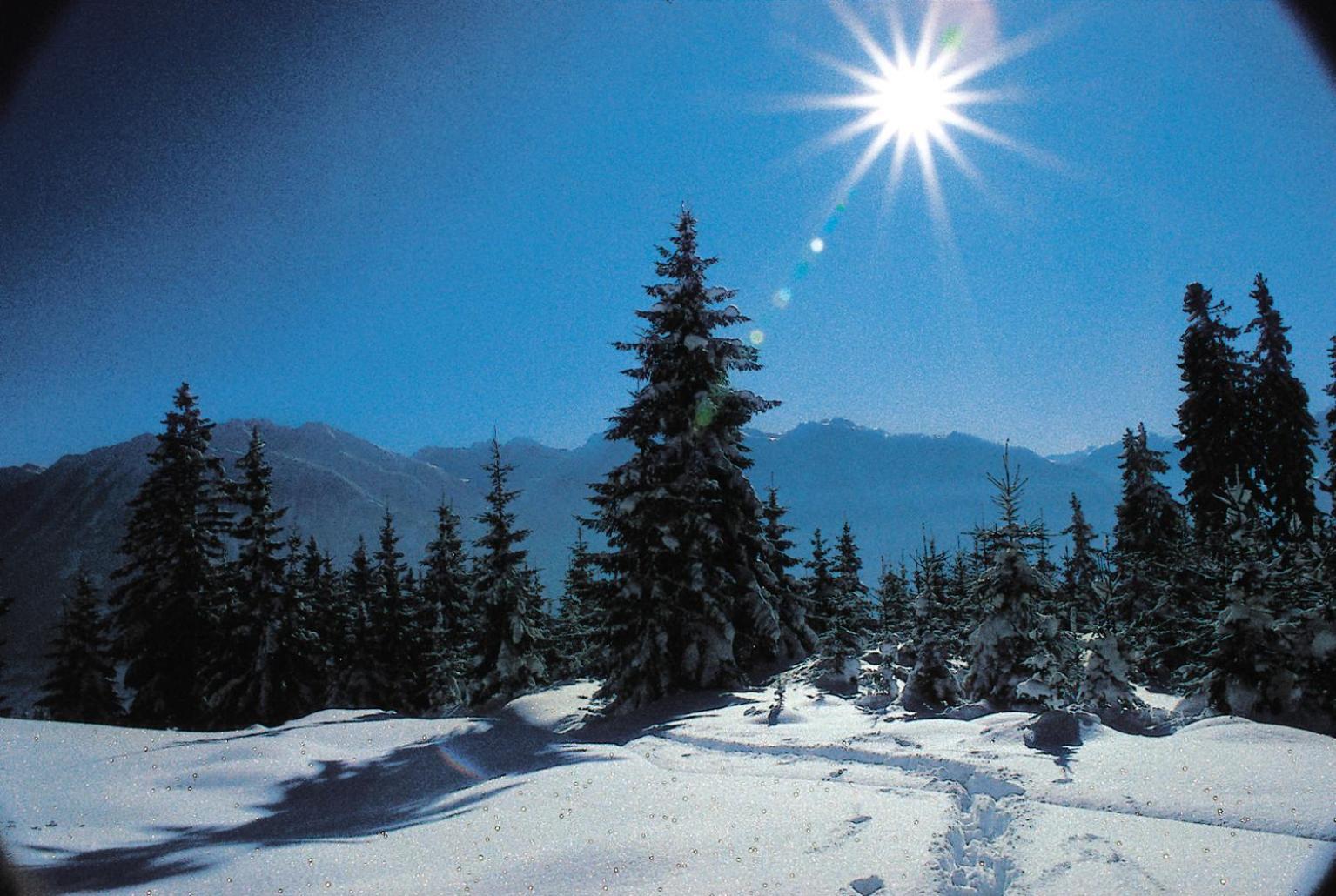Ferienparadies Taxen Sankt Veit im Pongau Exteriér fotografie