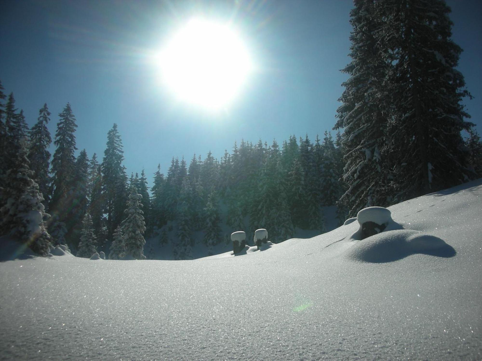 Ferienparadies Taxen Sankt Veit im Pongau Exteriér fotografie