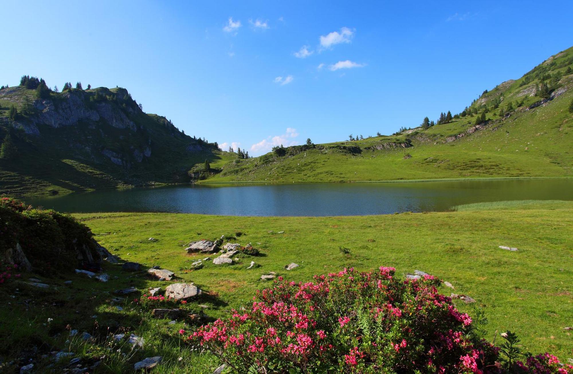 Ferienparadies Taxen Sankt Veit im Pongau Exteriér fotografie