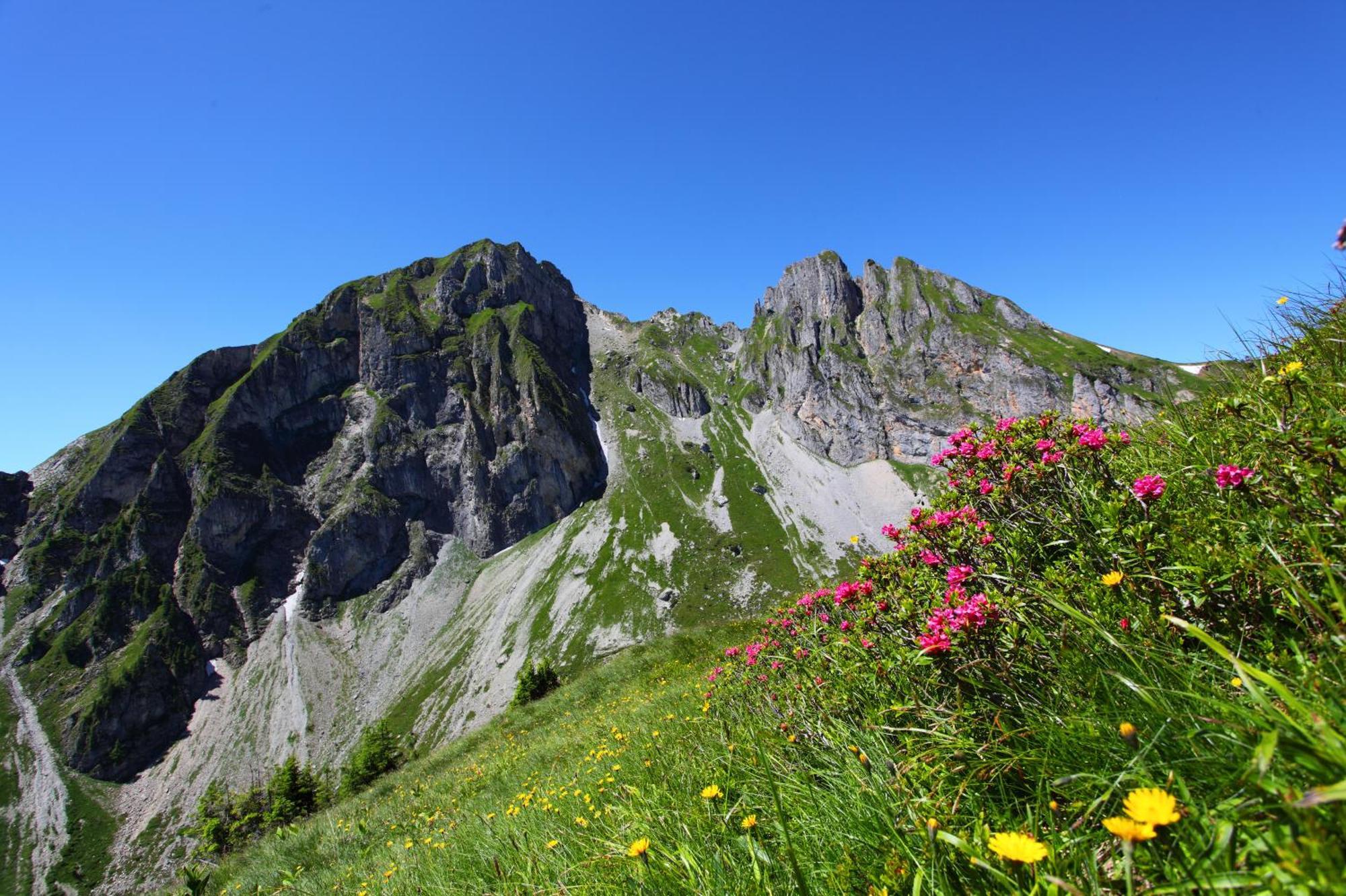Ferienparadies Taxen Sankt Veit im Pongau Exteriér fotografie